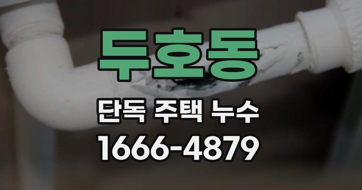 두호동 단독 주택 누수