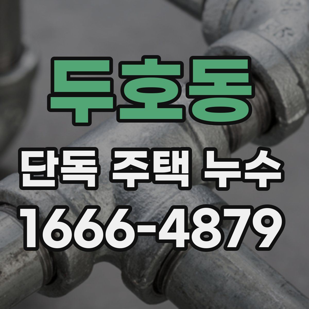 두호동 단독 주택 누수