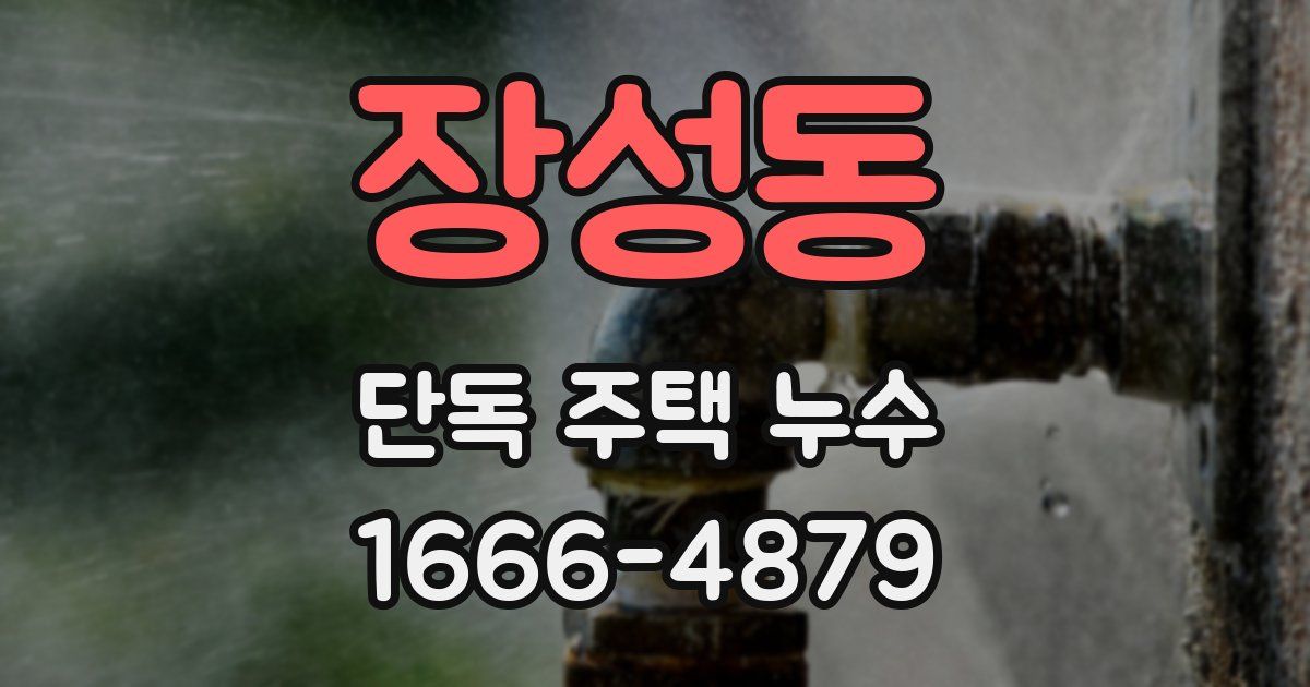 장성동 단독 주택 누수