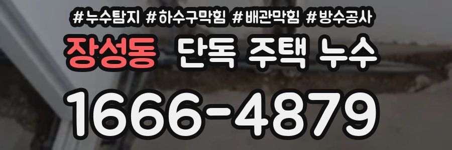 장성동 단독 주택 누수