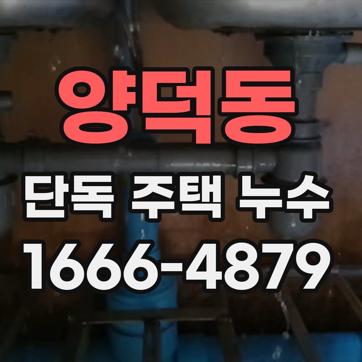 양덕동 단독 주택 누수 발생 시 실내 피해 줄이는 요령