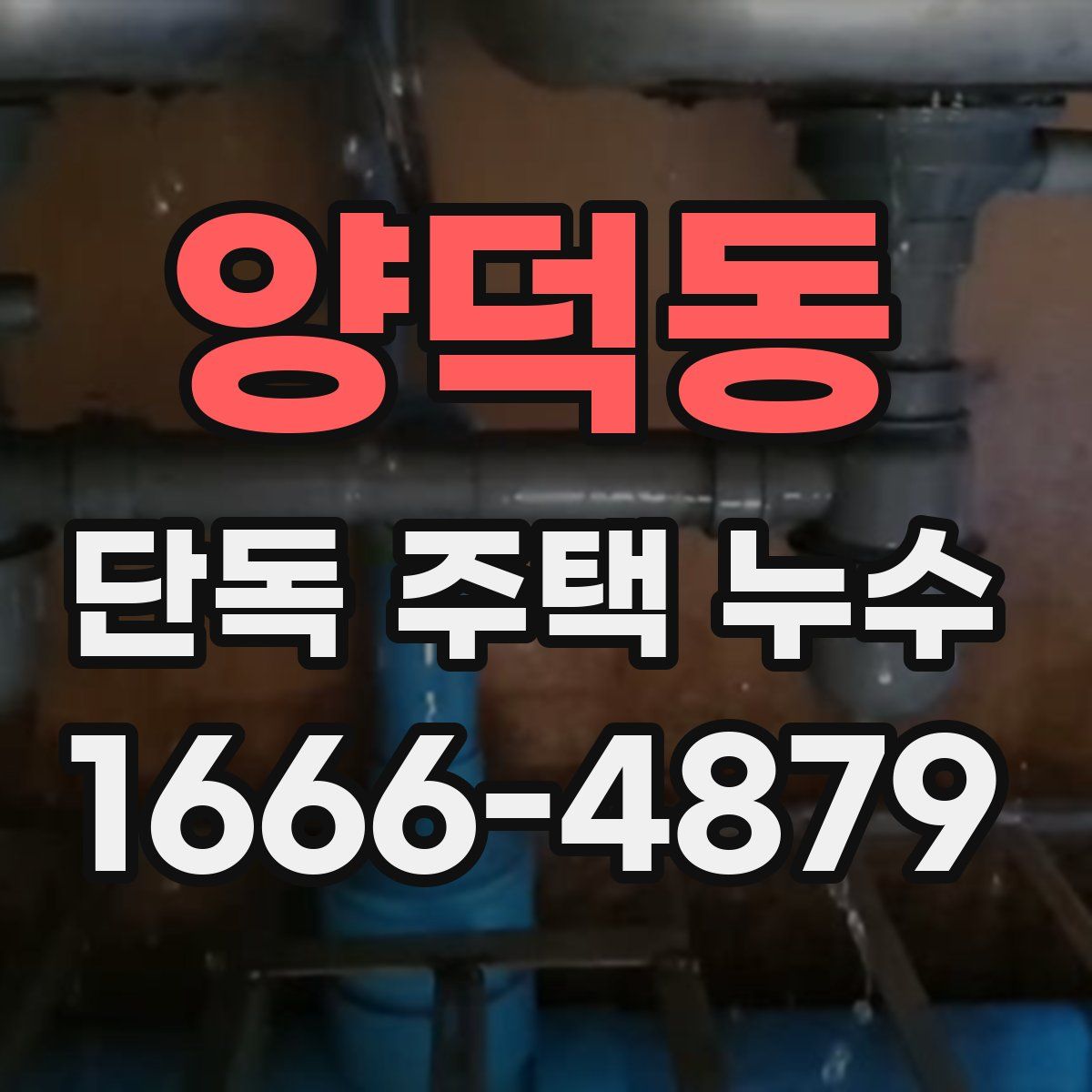 양덕동 단독 주택 누수