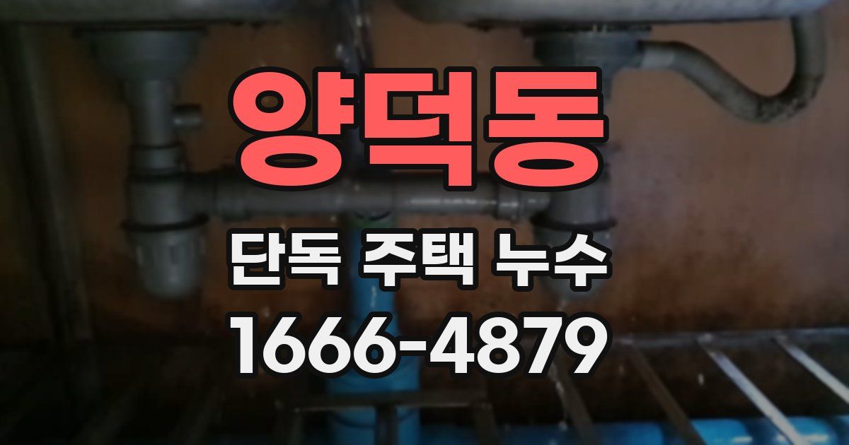 양덕동 단독 주택 누수