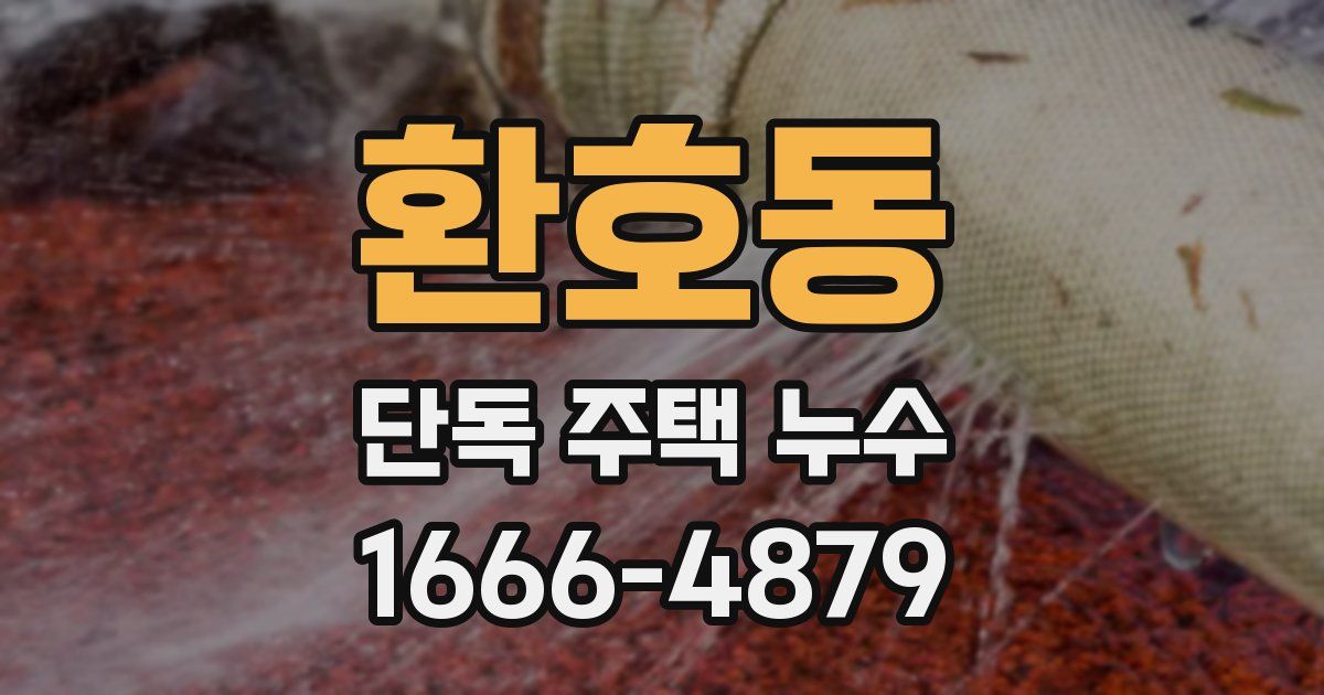 환호동 단독 주택 누수