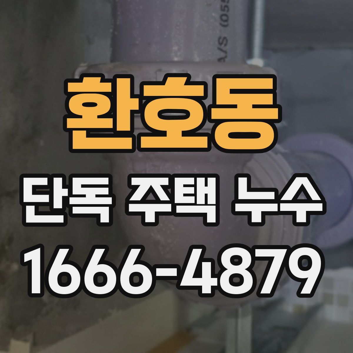 환호동 단독 주택 누수