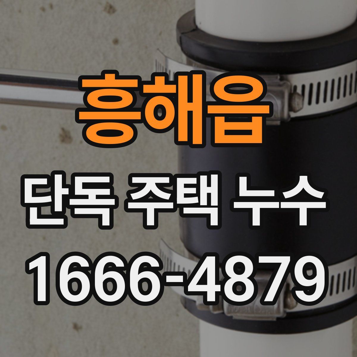 흥해읍 단독 주택 누수