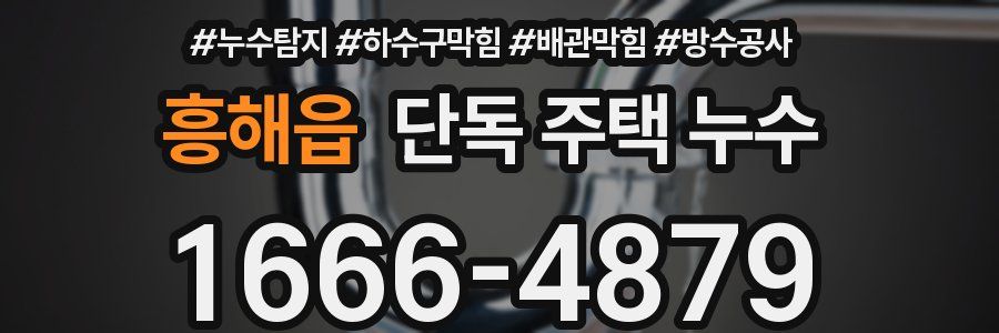 흥해읍 단독 주택 누수