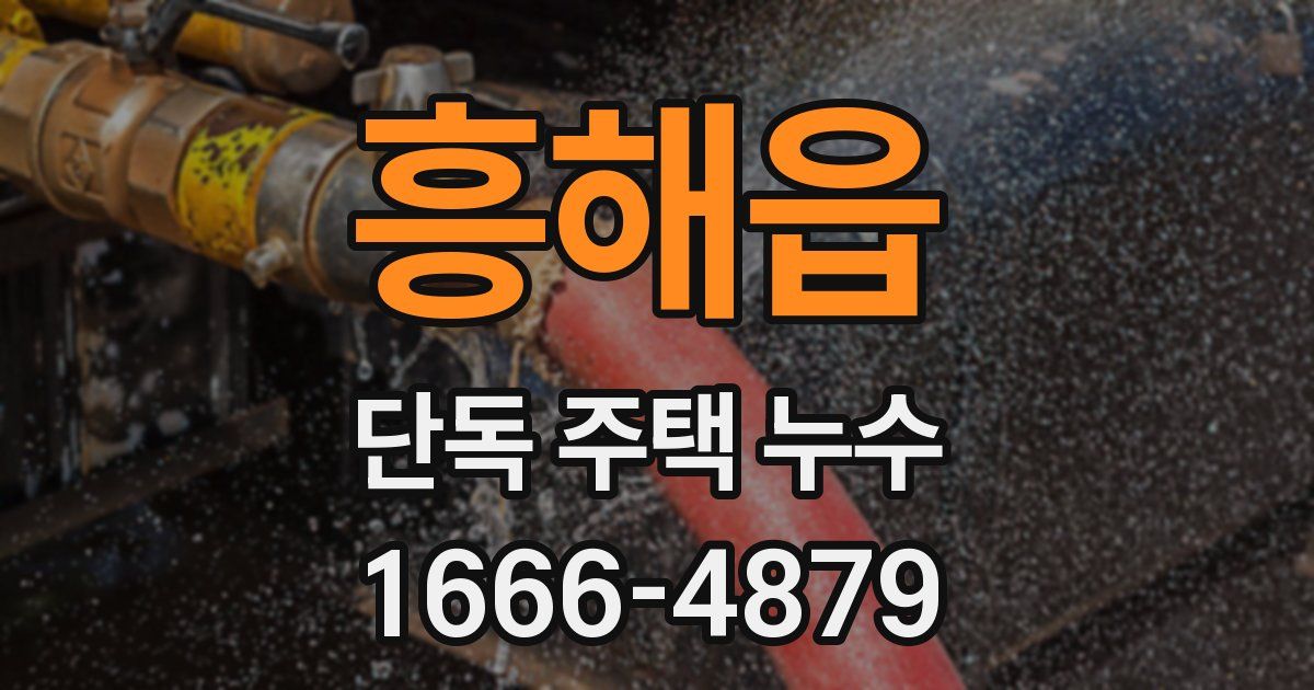 흥해읍 단독 주택 누수
