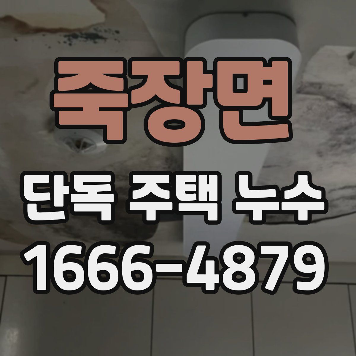 죽장면 단독 주택 누수