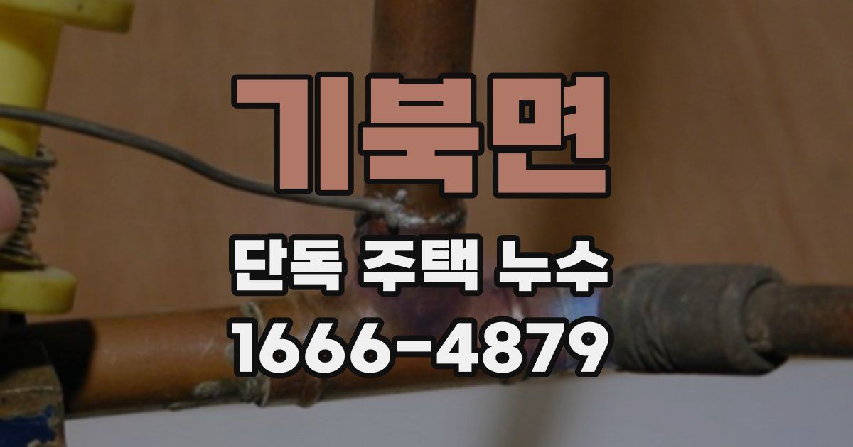 기북면 단독 주택 누수