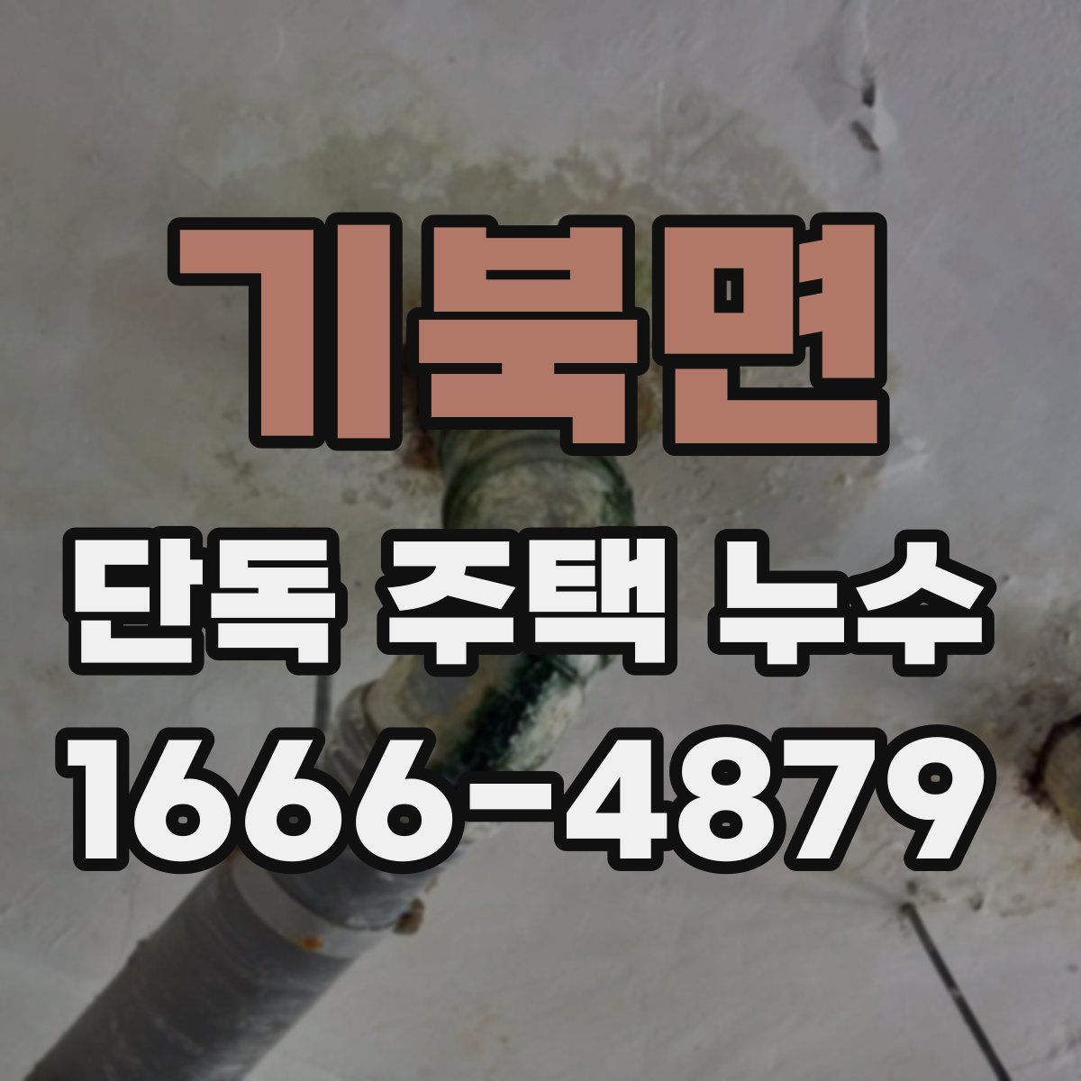 기북면 단독 주택 누수