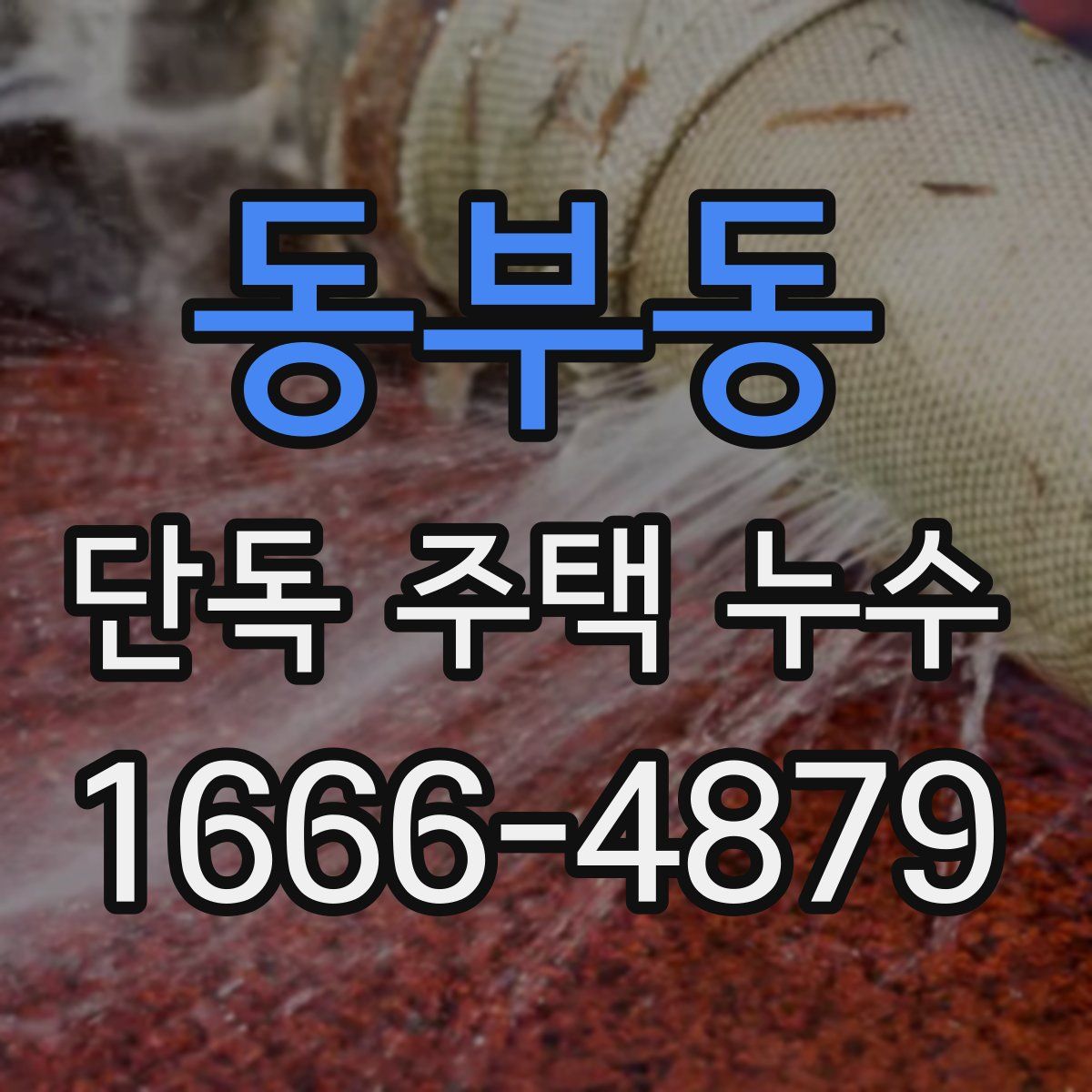 동부동 단독 주택 누수