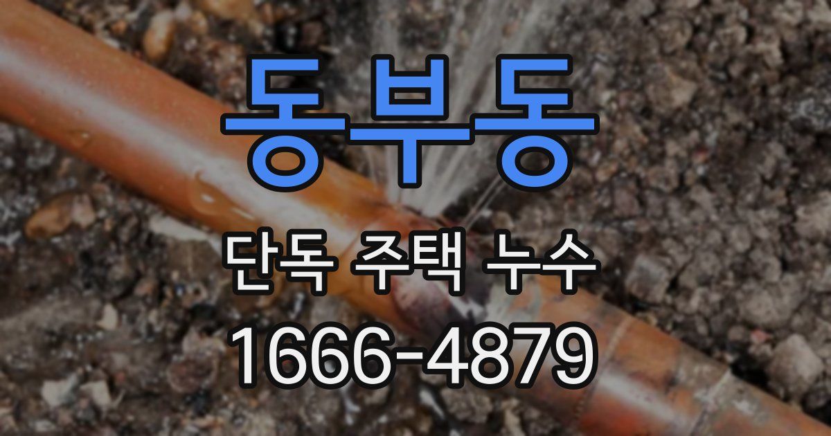 동부동 단독 주택 누수