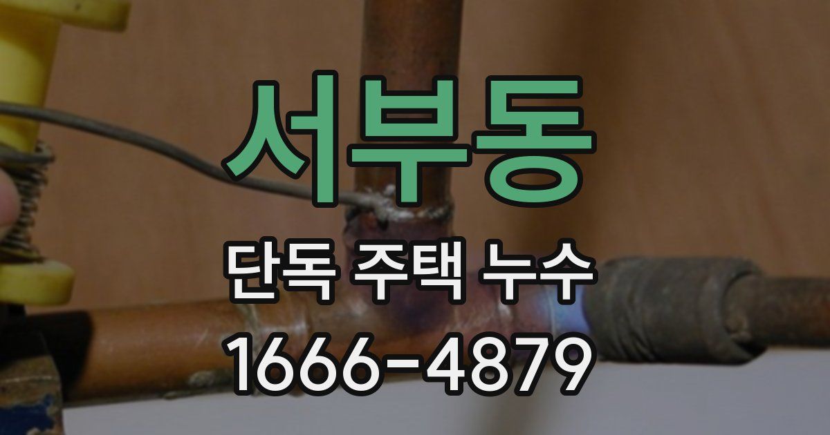 서부동 단독 주택 누수
