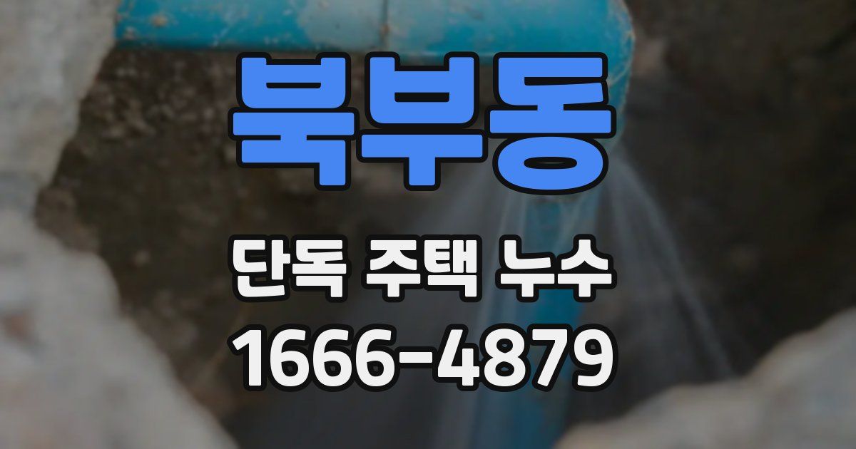 북부동 단독 주택 누수