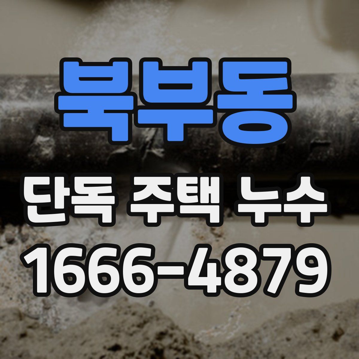 북부동 단독 주택 누수
