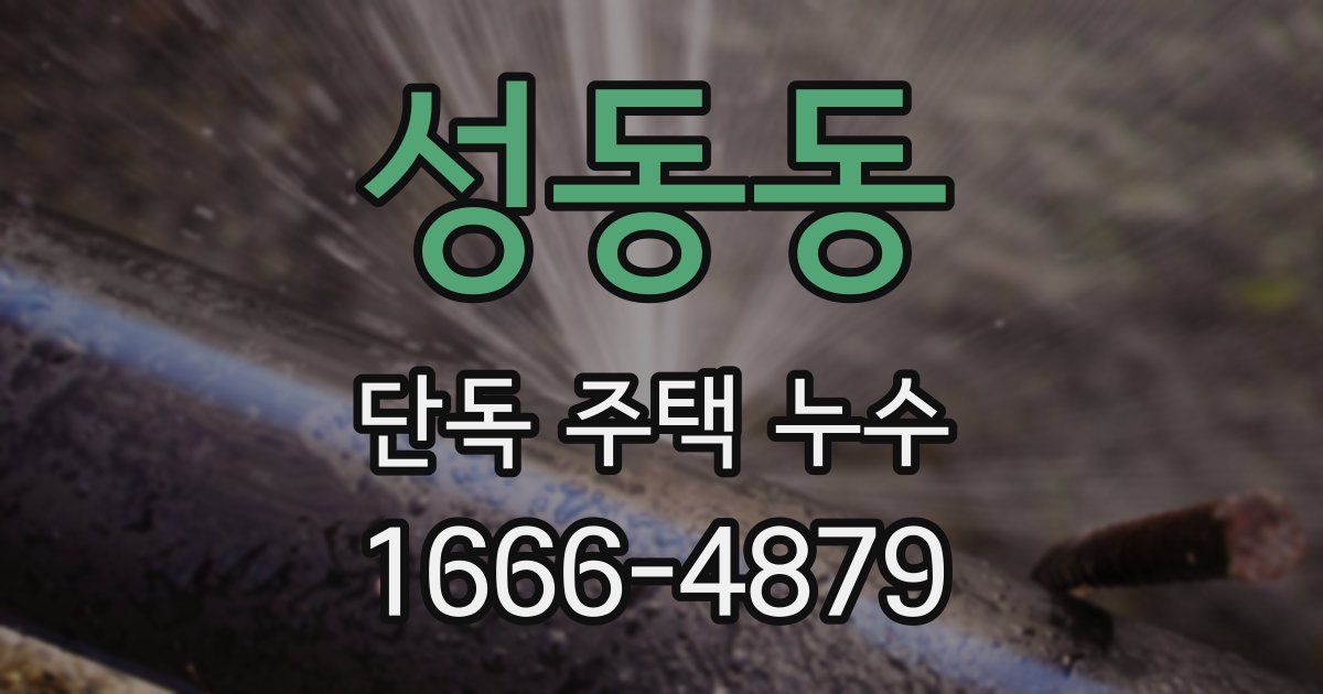 성동동 단독 주택 누수