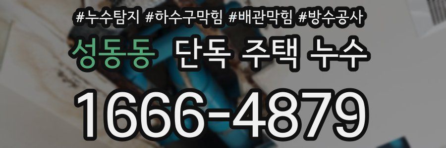 성동동 단독 주택 누수