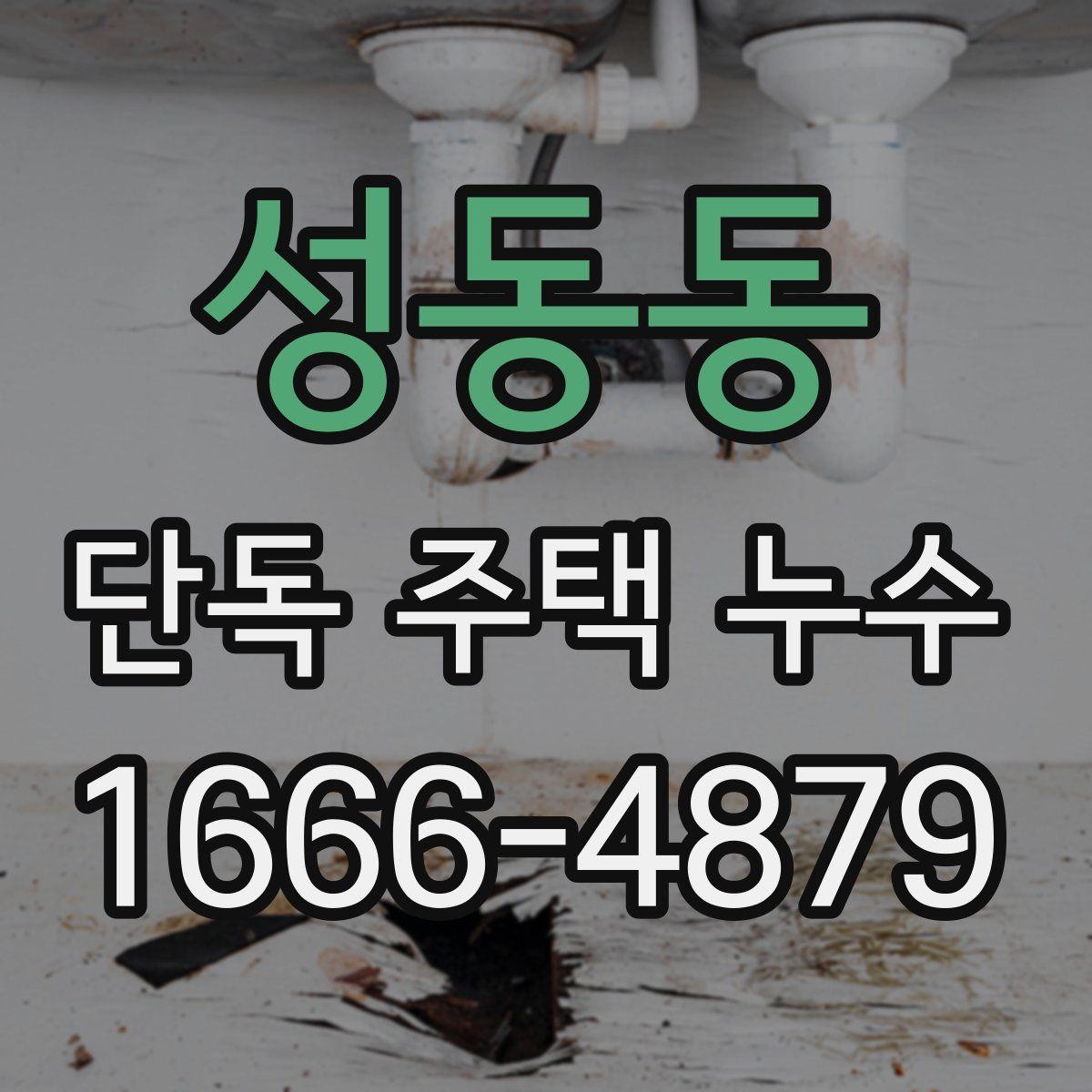 성동동 단독 주택 누수
