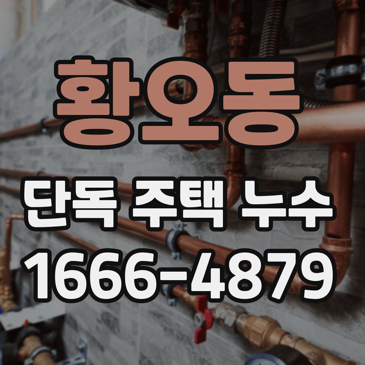 황오동 단독 주택 누수