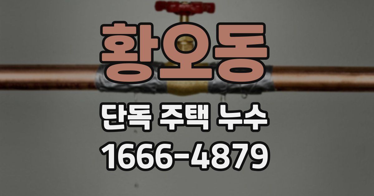 황오동 단독 주택 누수