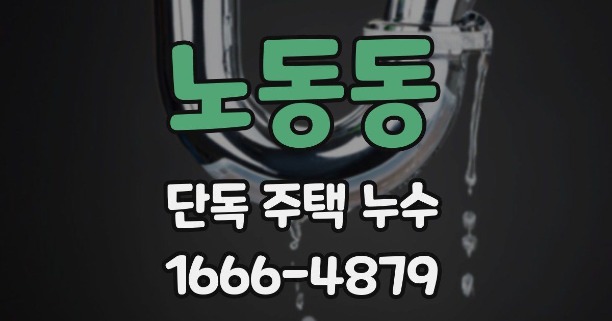 노동동 단독 주택 누수