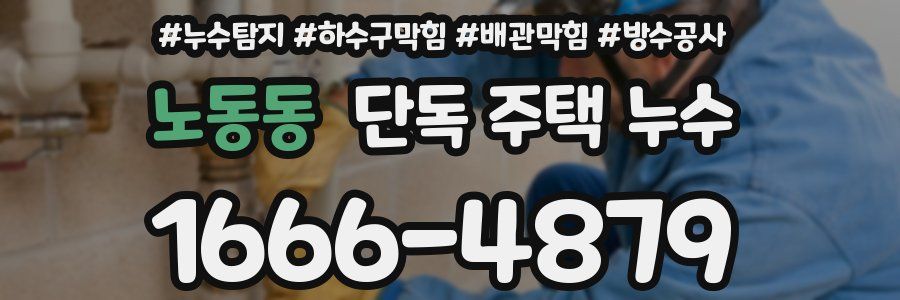 노동동 단독 주택 누수