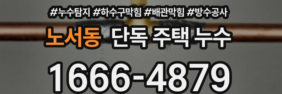 노서동 단독 주택 누수