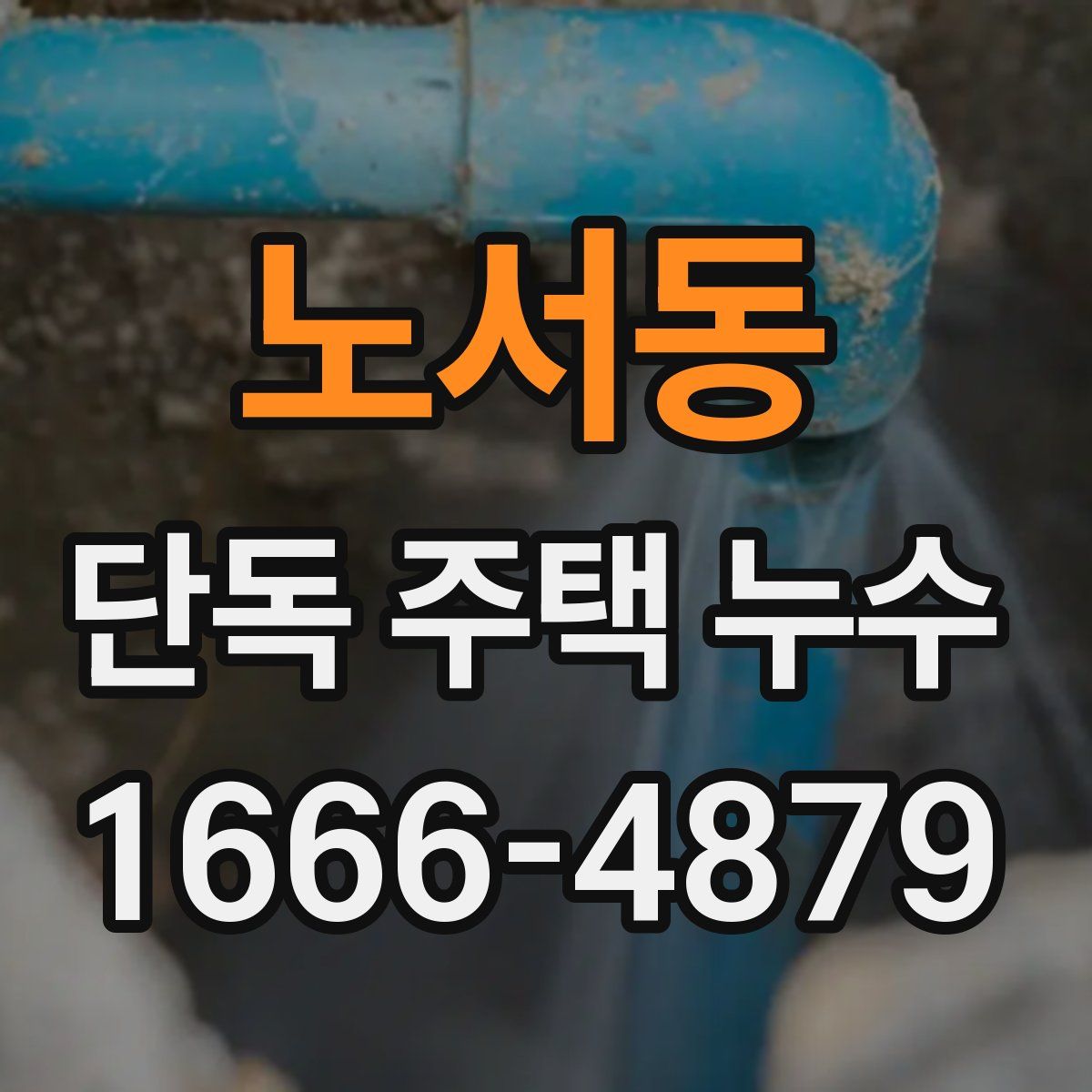 노서동 단독 주택 누수