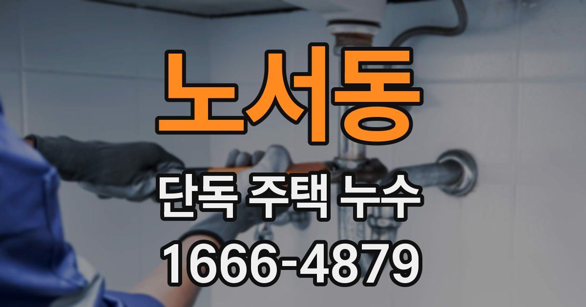 노서동 단독 주택 누수