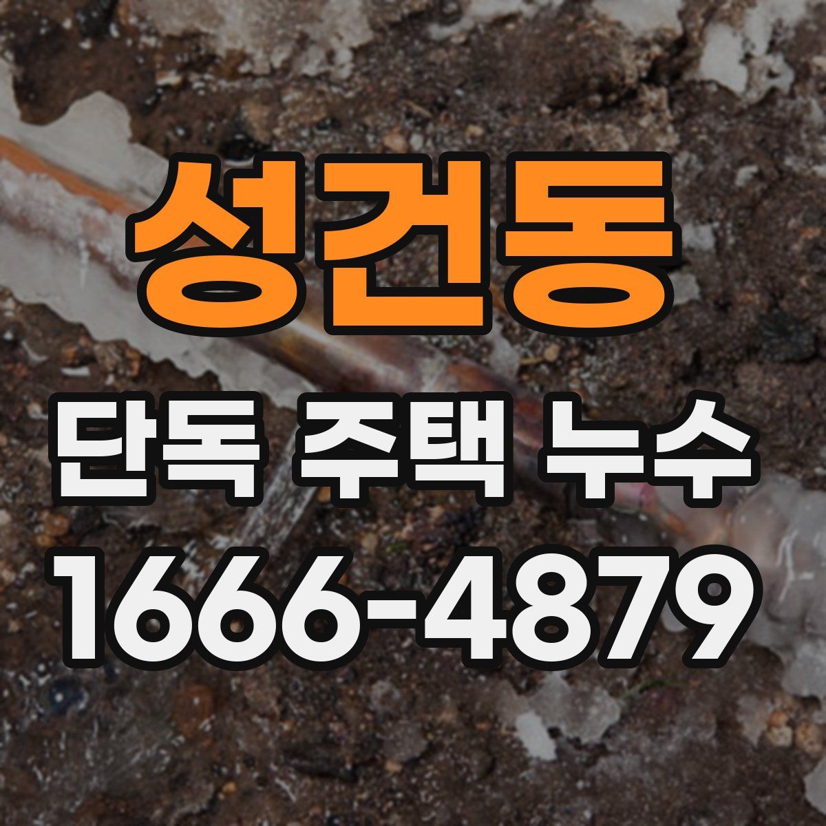 성건동 단독 주택 누수