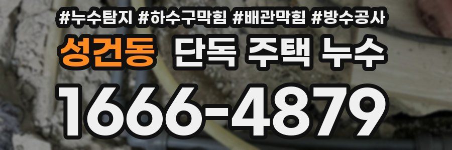 성건동 단독 주택 누수