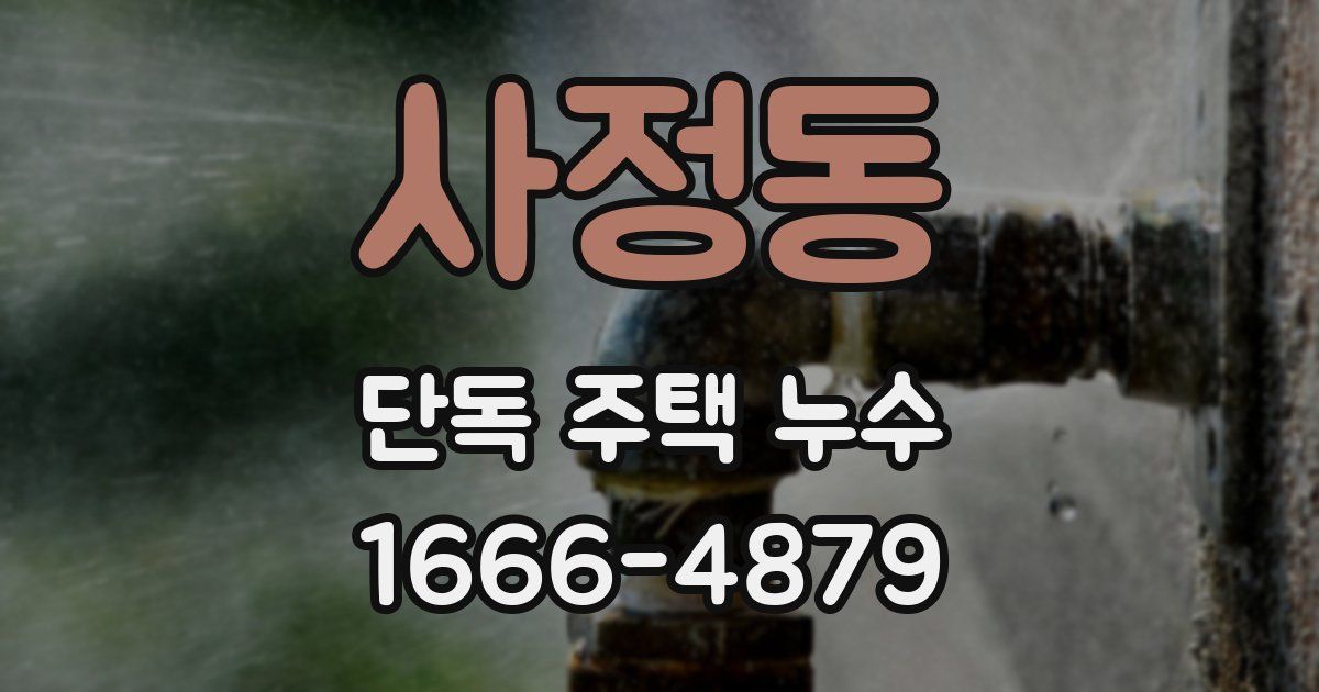 사정동 단독 주택 누수