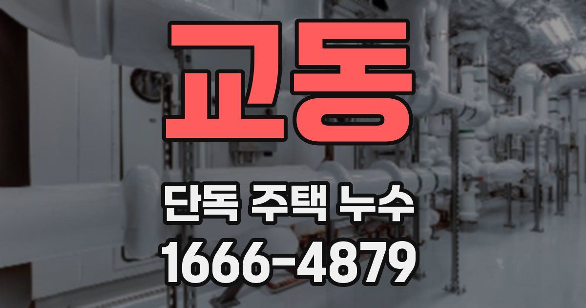 교동 단독 주택 누수