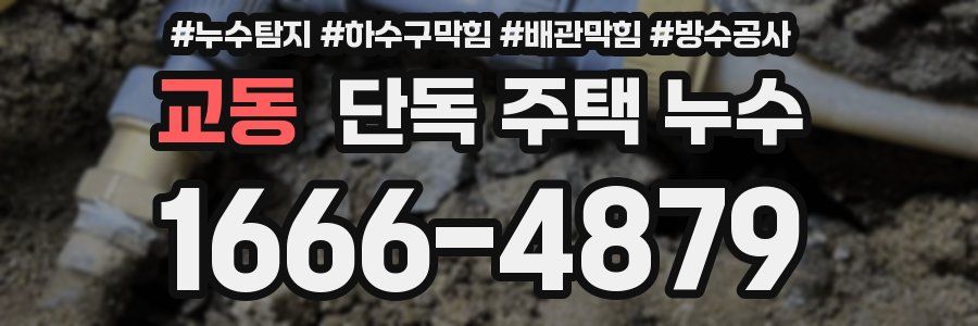 교동 단독 주택 누수