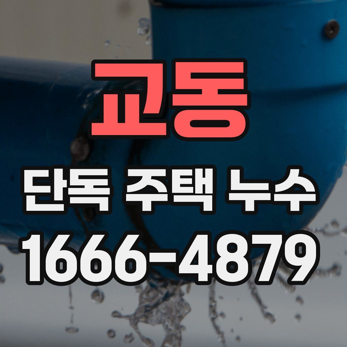 교동 단독 주택 누수