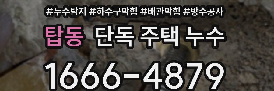 탑동 단독 주택 누수