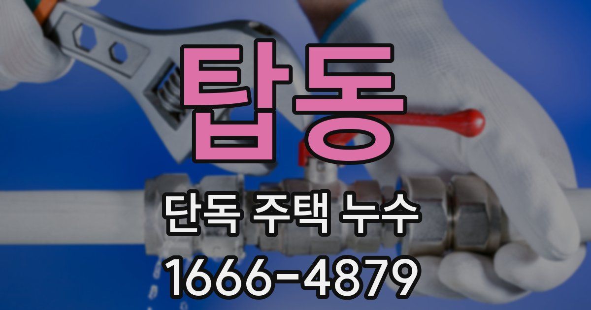 탑동 단독 주택 누수