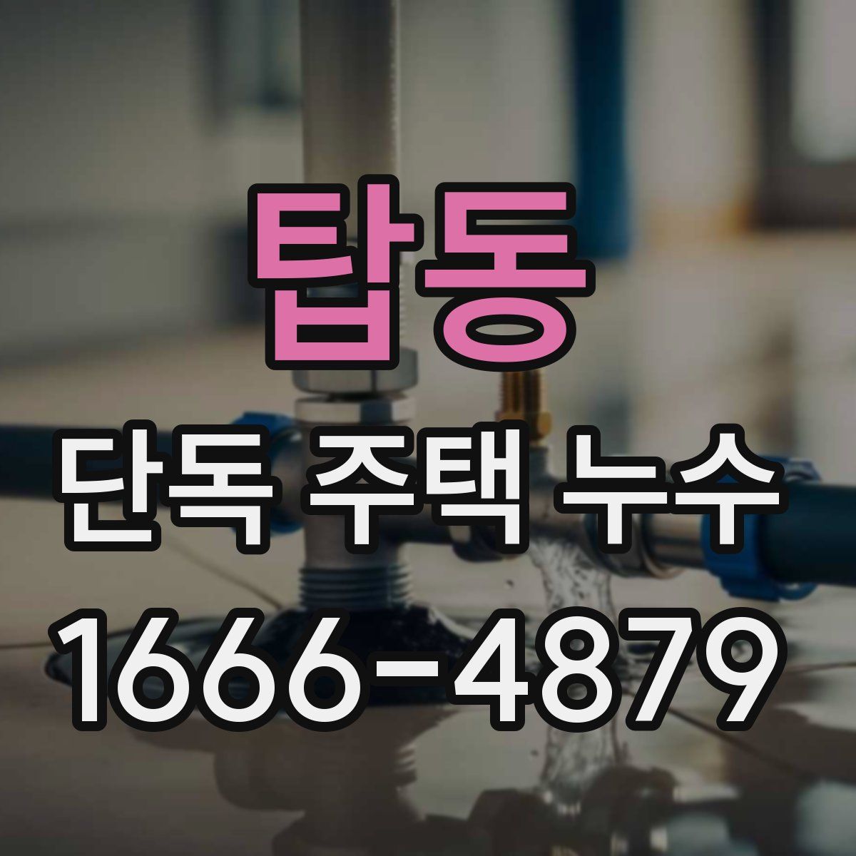 탑동 단독 주택 누수