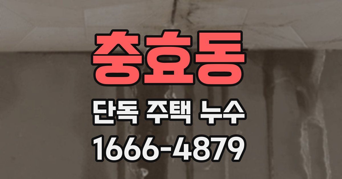 충효동 단독 주택 누수