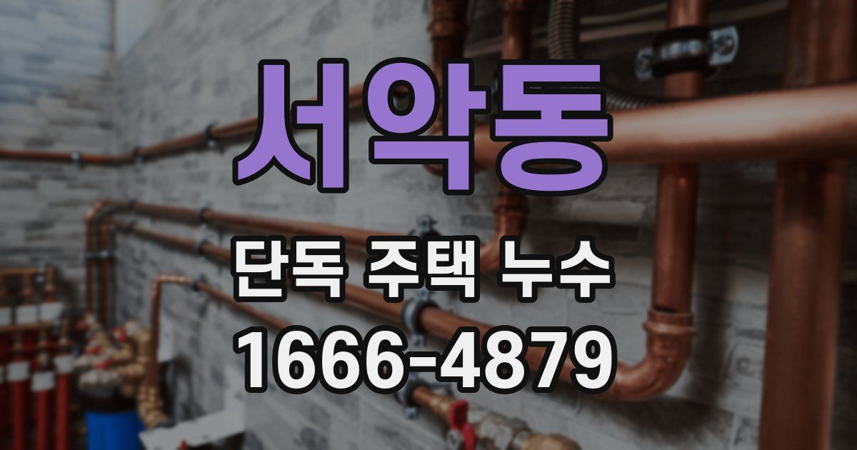 서악동 단독 주택 누수