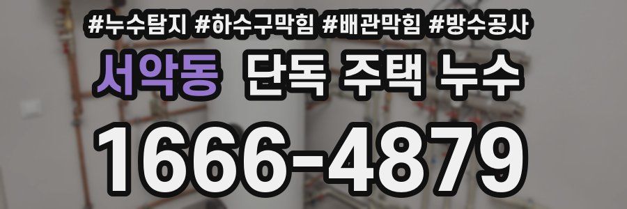 서악동 단독 주택 누수