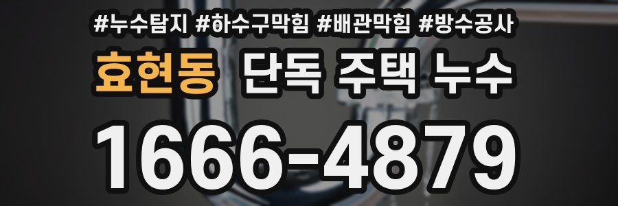효현동 단독 주택 누수