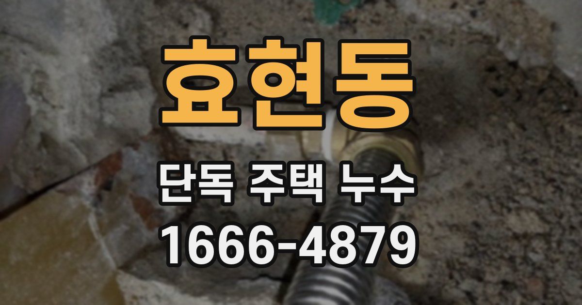 효현동 단독 주택 누수