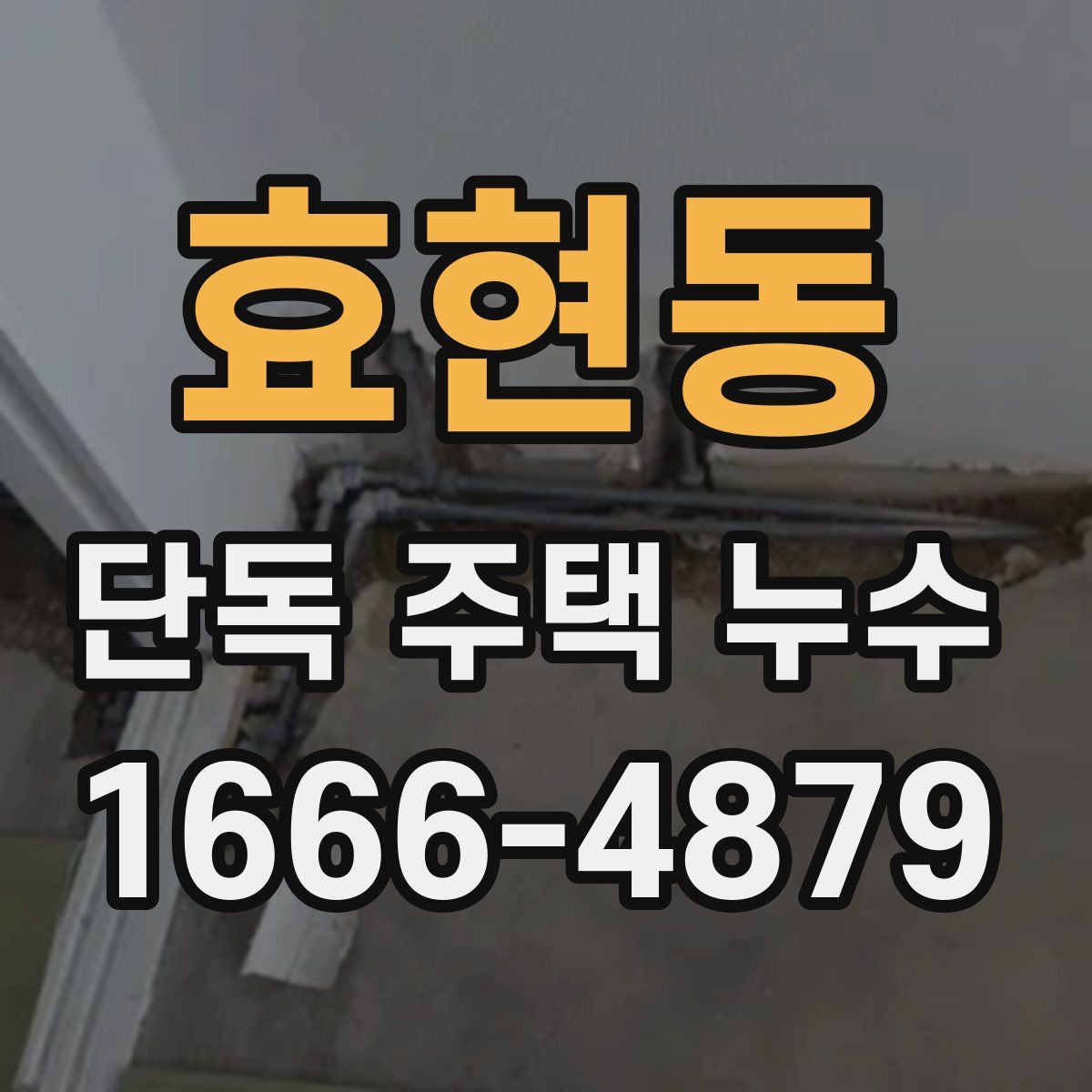 효현동 단독 주택 누수