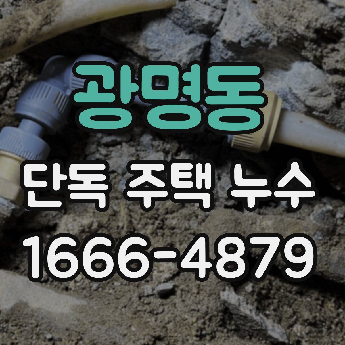 광명동 단독 주택 누수