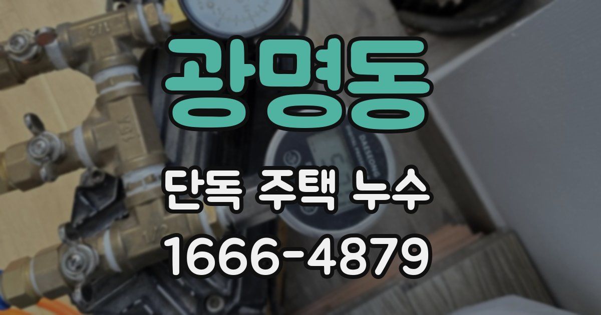 광명동 단독 주택 누수