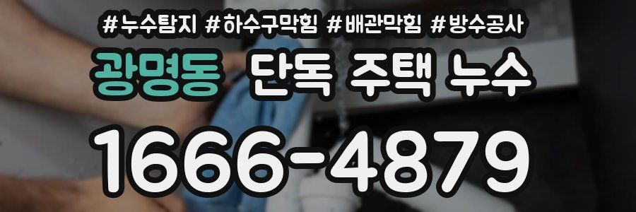 광명동 단독 주택 누수