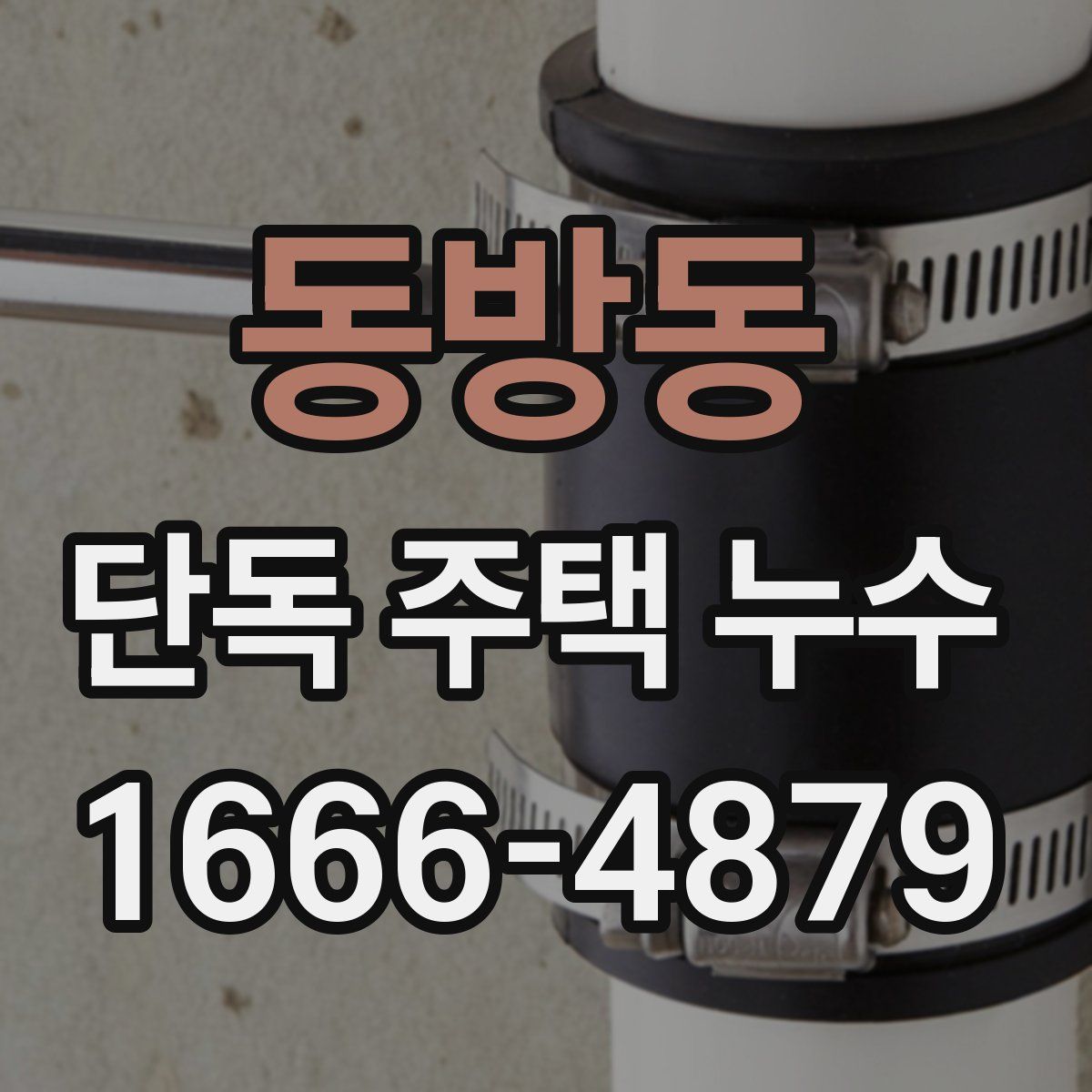 동방동 단독 주택 누수