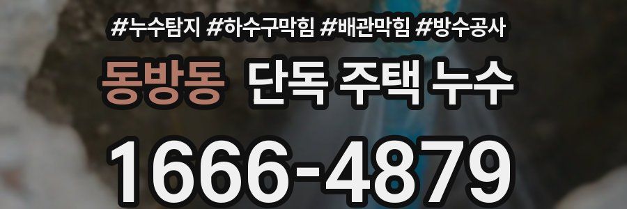 동방동 단독 주택 누수